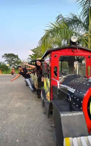 Train Ride through natural surroundings