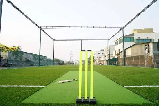 Turf Cricket at Tiger Paradise Resort