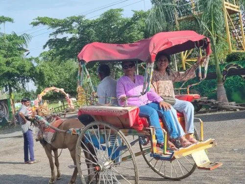 Village Experience